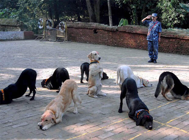 Забывные фотки (41фотка)