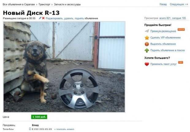 самые оригинальные объявления на авито
