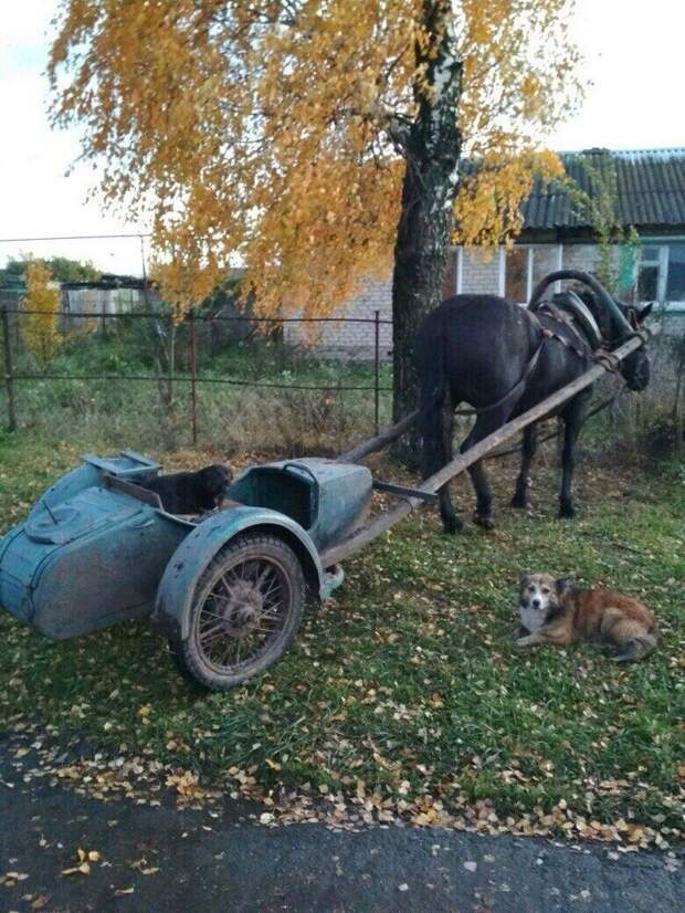 Подборка автомобильных приколов авто, автомобили, автоприкол, автоприколы, подборка, прикол, приколы, юмор