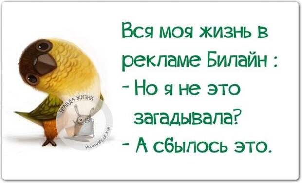 5672049_1429124359_frazochki16 (604x367, 29Kb)