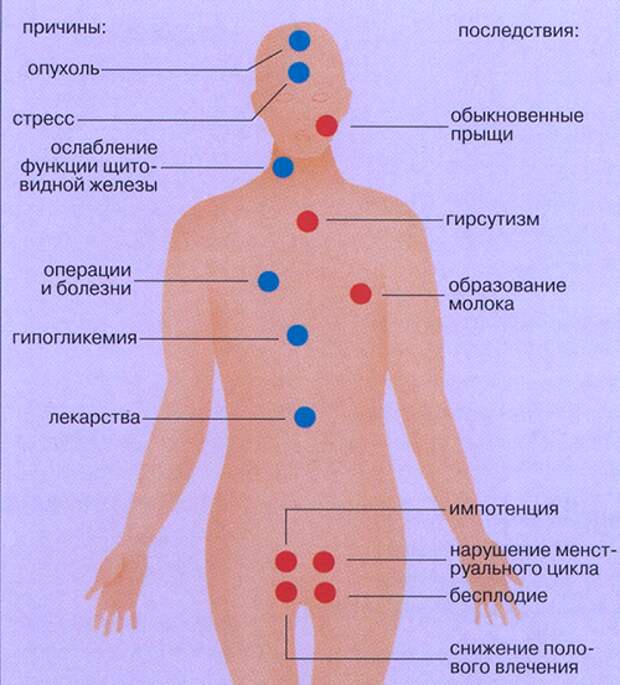 8 причин, почему люди толстеют, даже если реально не переедают - какие болезни провоцируют набор веса и что с этим делать?