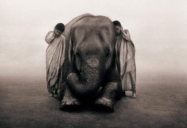 Люди и животные в фотографиях Gregory Colbert Люди и животные в фотографиях Gregory Colbert