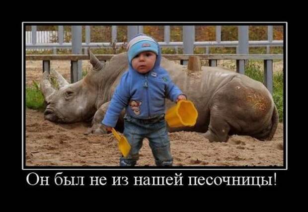 Свежая подборка демотиваторов