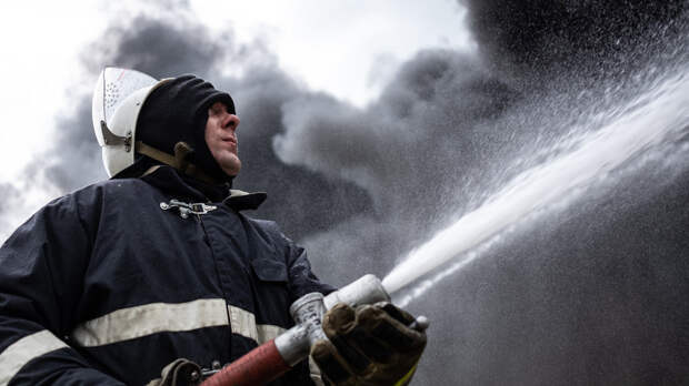 В России за сутки ликвидировали 90 природных пожаров