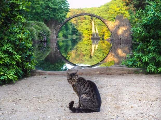 Оптическая иллюзия, создаваемая конструкцией моста вызывает немало фантастических легенд и преданий (мост Ракотцбрюке, Германия). | Фото: mishka.travel.