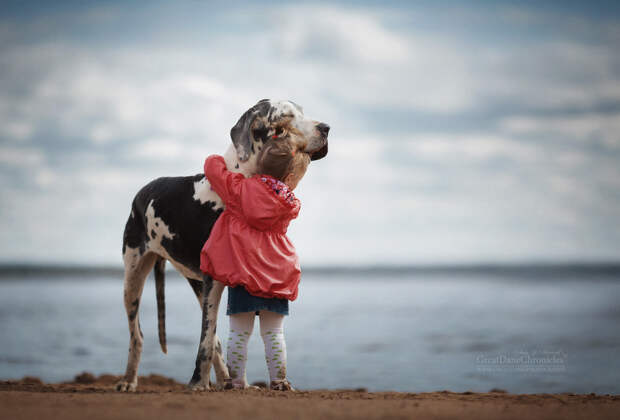 Энди Селиверстов фотографии детей и их больших собаках 22