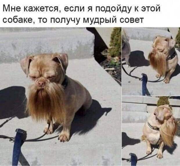Свежие приколы в картинках и фото (44 шт)
