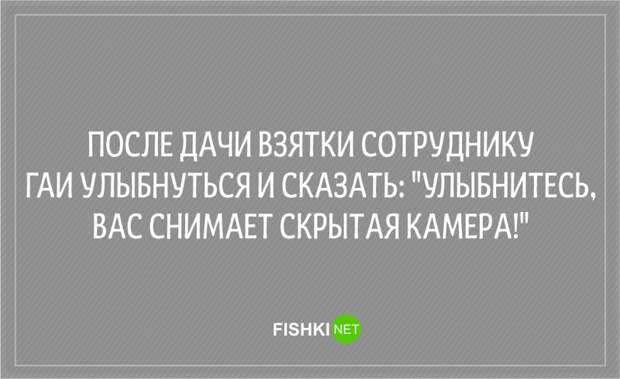 20 анекдотов о сотрудниках ГИБДД Анекдоты, гаи, гибдд