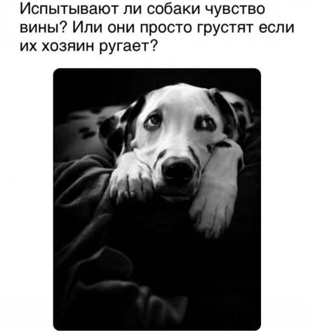 Забавные приколы и мысли пользователей Сети, которыми они решили поделиться со всеми