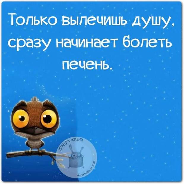 Только вылечишь душу, сразу начинает болеть печень
