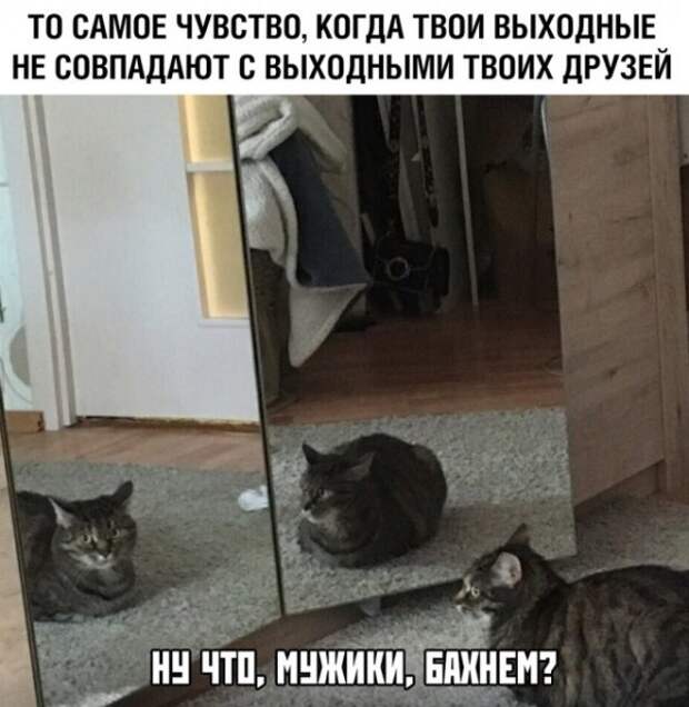 Прикольные картинки абавсём:D