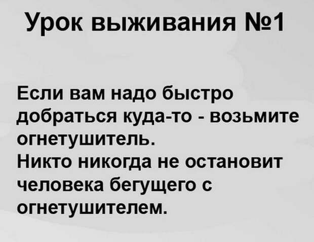Подборка картинок. Дневной выпуск (50 фото)