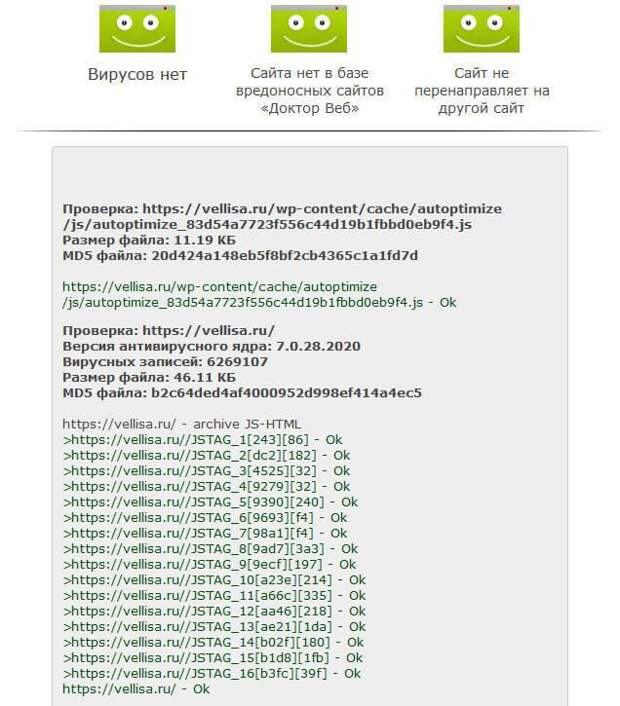 результат проверки сайта