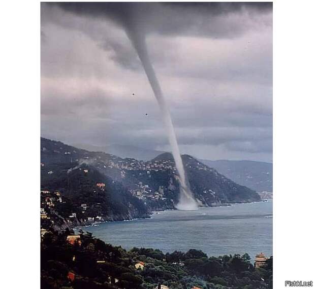 7dcf3b850f25e03f55cbca4bb15fa4a8 (695x639, 335Kb)