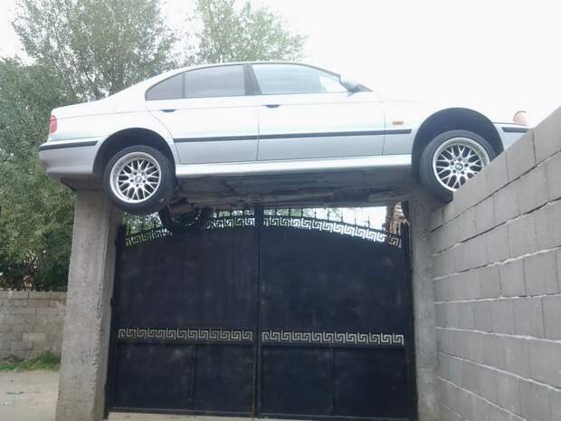 Прикольные картинки