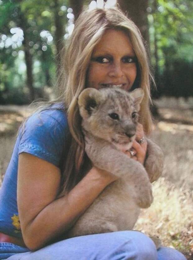 Брижит Бардо и животные (фото): львёнок / Brigitte Bardot & animals (Photos): lion' cub Брижит Бардо и животные (фото): львёнок / Brigitte Bardot & animals (Photos): lion' cub