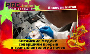 Китайские медики