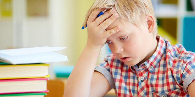 Без ГДЗ и готовых ответов к ЕГЭ: в России хотят бороться со списыванием в школах