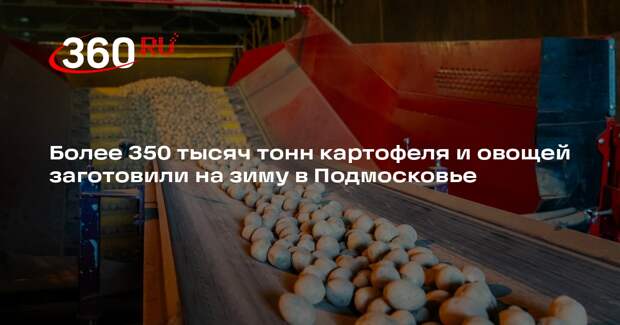 Более 350 тысяч тонн картофеля и овощей заготовили на зиму в Подмосковье