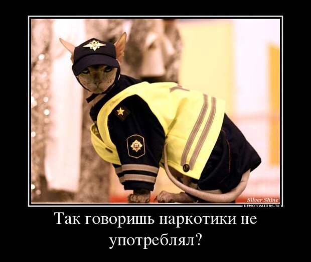 Весёленькие демотиваторы