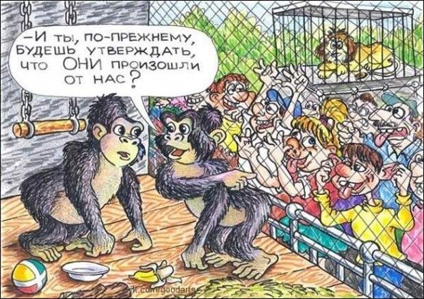 Забавные карикатурки