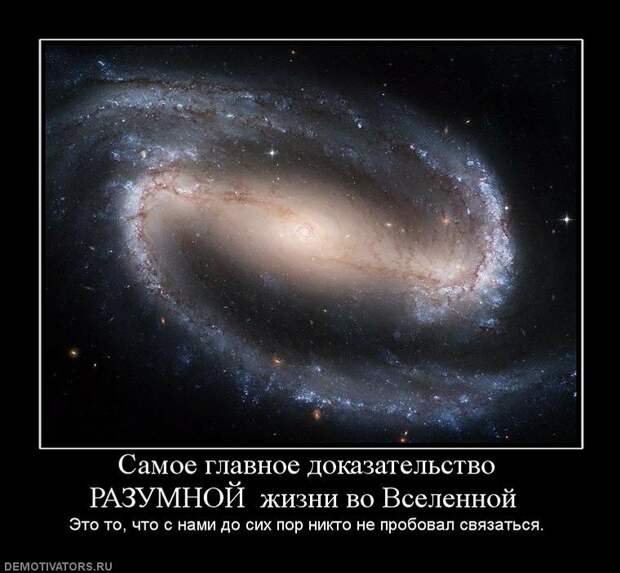 Веселые демотиваторы на утро (11 фото)