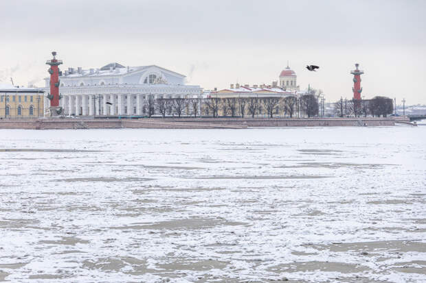 В Петербурге впервые стартовала зимняя навигация на судах на воздушной подушке