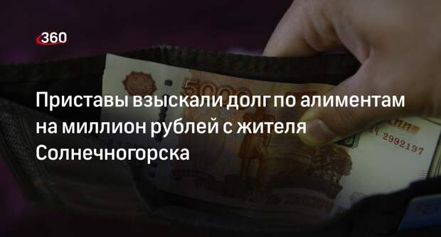 Приставы взыскали долг по алиментам на миллион рублей с жителя Солнечногорска