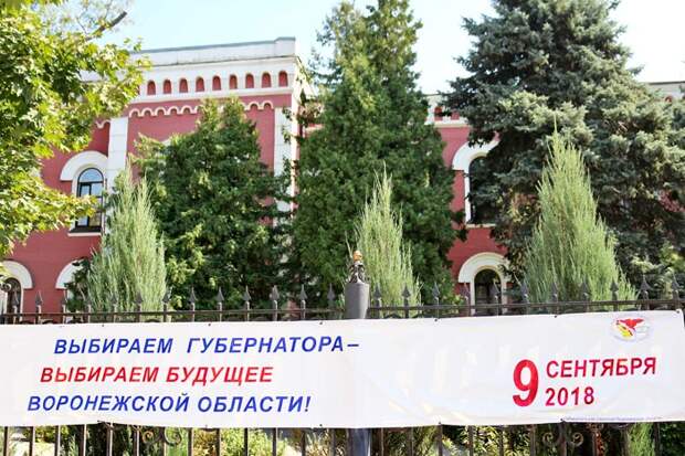 выборы