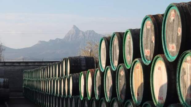 Место, где рождается напиток богов: на заводе «Коктебель» ФАН раскрыли будущее виноделия