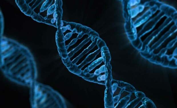 Интересные факты про ДНК, которые вы могли не знать