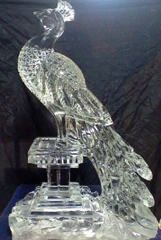 Великолепная ледяная скульптура в виде павлина.