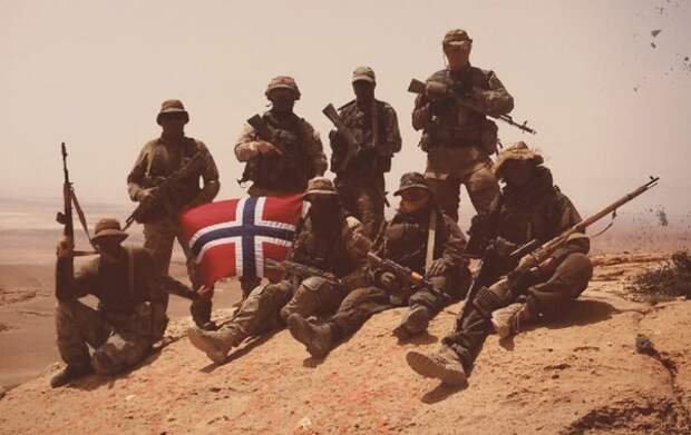 Норвежская группировка в Сирии