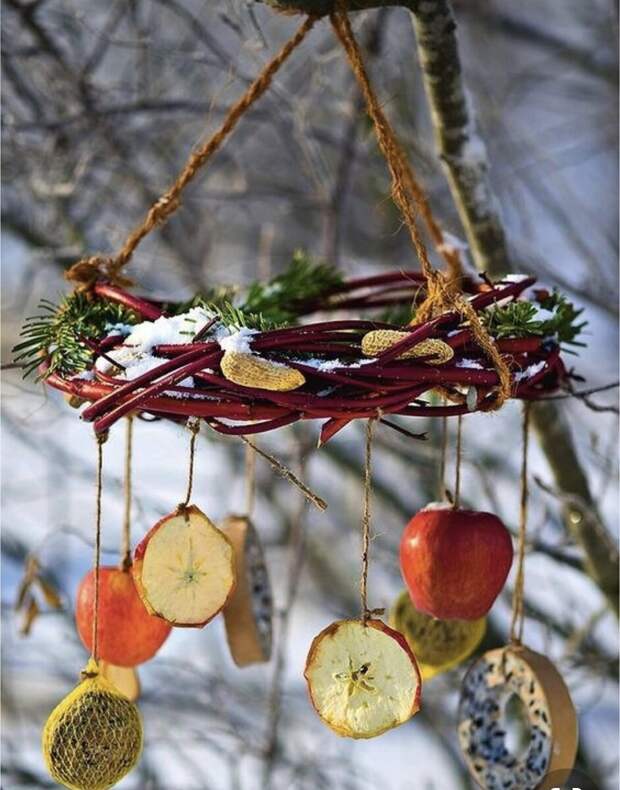 Фото с сайта: https://ru.pinterest.com/pin/591660469797890898/