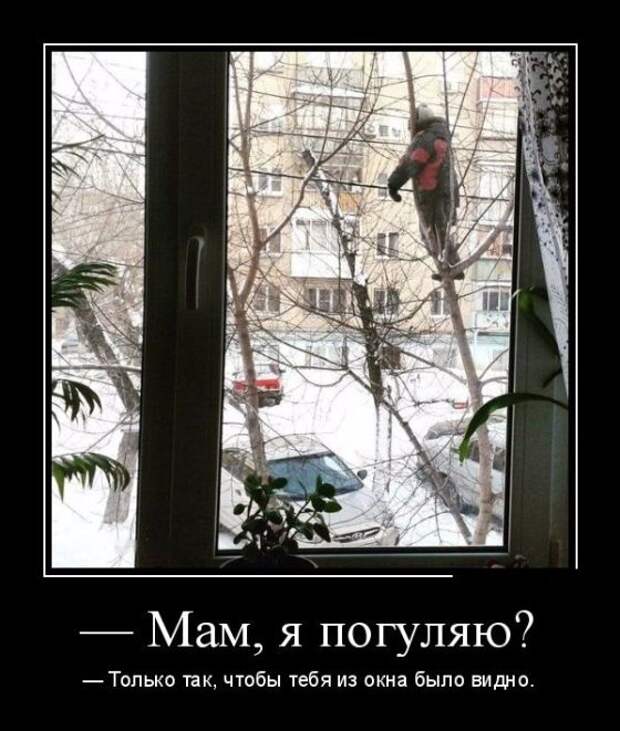 Демотиваторы (30 фото)
