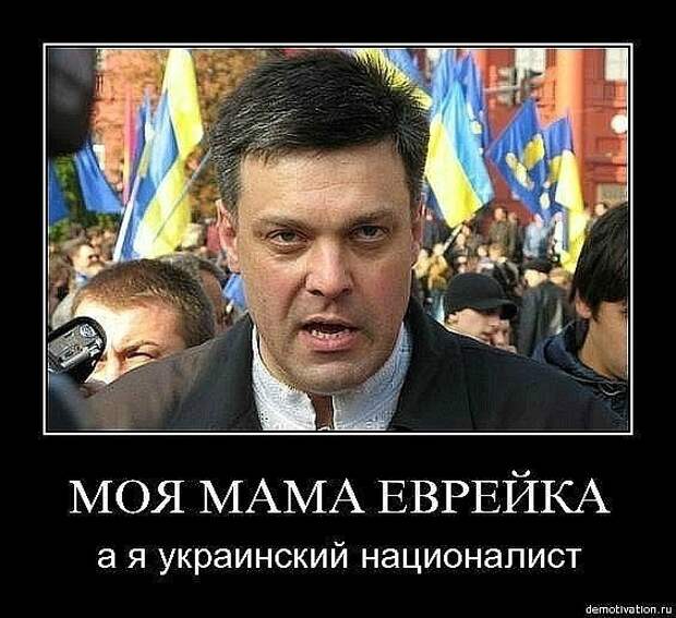 zszWcb7erlwпва