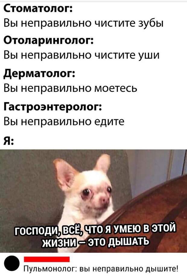 картинки приколы (19)