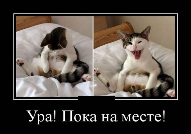 Демотиваторы (30 фото)