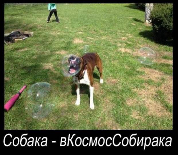 Демотиваторы смешные новые (22 шт)