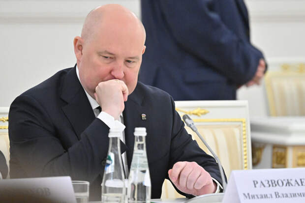 Развожаев: силы ПВО перехватили две воздушные цели над акваторией Черного моря