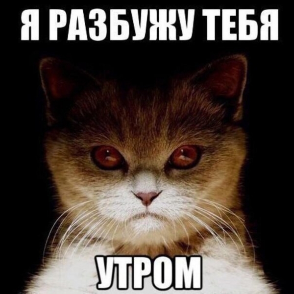 Субботний позитивчик (30 фото)