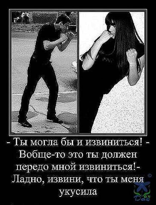 Рамзан кадыров мемы извинись. Проси прощения. Кадыров извинись. Рамзан кадыров мемы. Кадыров извинись.