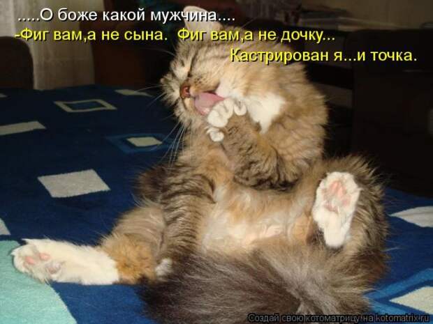 Демотиваторы и не только.