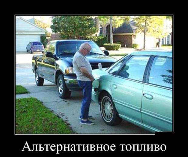 Демотиваторы (30 фото)