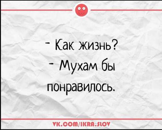 Пришел Абрам к дантисту. - Доктор, сколько стоит удалить зуб мудрости!...