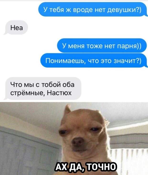 картинки приколы (24)
