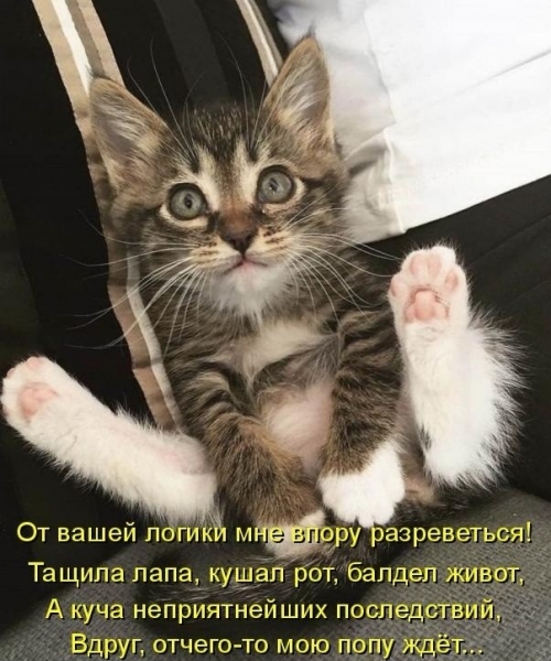 Субботний позитивчик (30 фото)