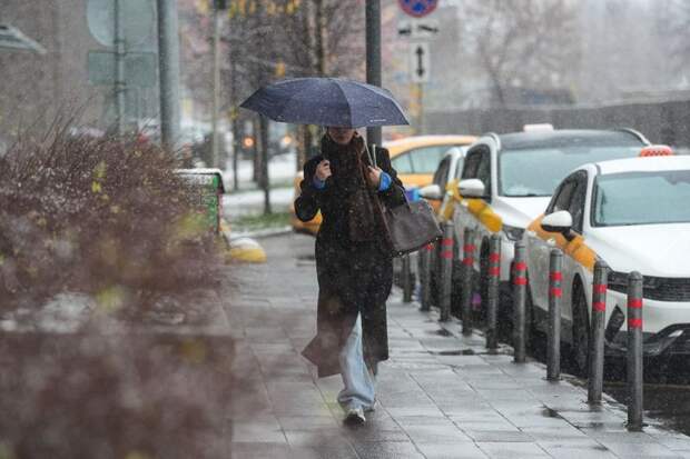 Синоптик Шувалов: в Москву 9 и 10 апреля придут мокрый снег и похолодание