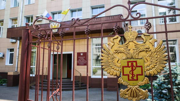 Насекомых и грязь выявили после отравления учеников в петербургской школе