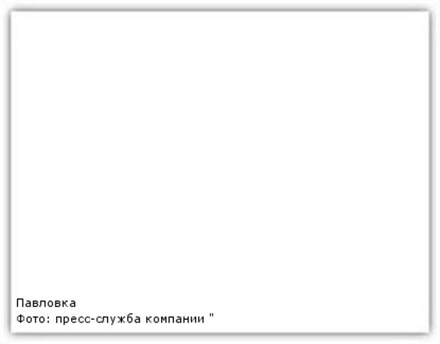 Фото: пресс-служба компании "Ростелеком"
